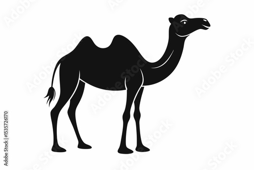 camel sihouette black vector