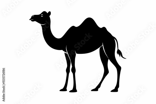 camel sihouette black vector