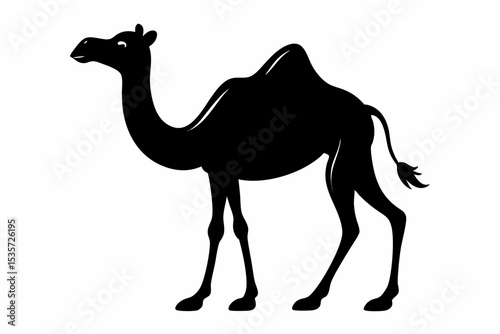camel sihouette black vector