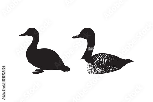 Common Loon Bird Silhouettes