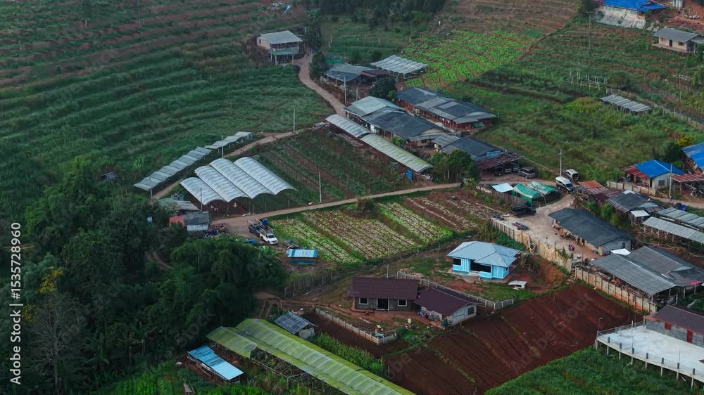 Agricultural landscape with cultivated terraces and greenhouses in Mon Jam Thailand