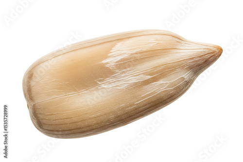 Close up of a single shelled sunflower seed isolated on black background for food photography on transparent background