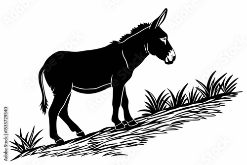 donkey sihouette black vector