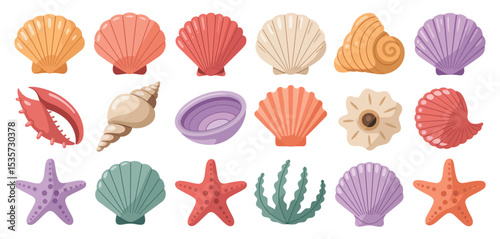 Collection of Colorful Seashells Starfish and Sea Life