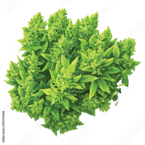 Vector Cannabis Marijuana Dispensary Bud Nug