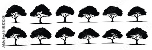 tree icon set vector silhouette on white background.