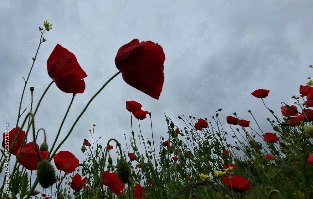 Obraz premium travelling