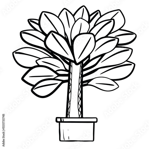 Potted Plant Hand Drawn Vector Illustration Indoor Plant Outline