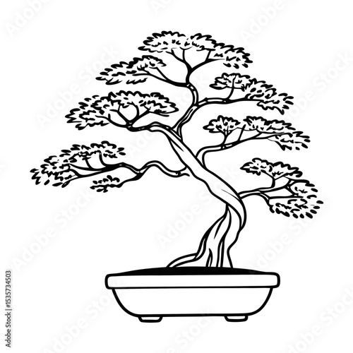 Bonsai Tree Vector Illustration Japanese Style Zen Design