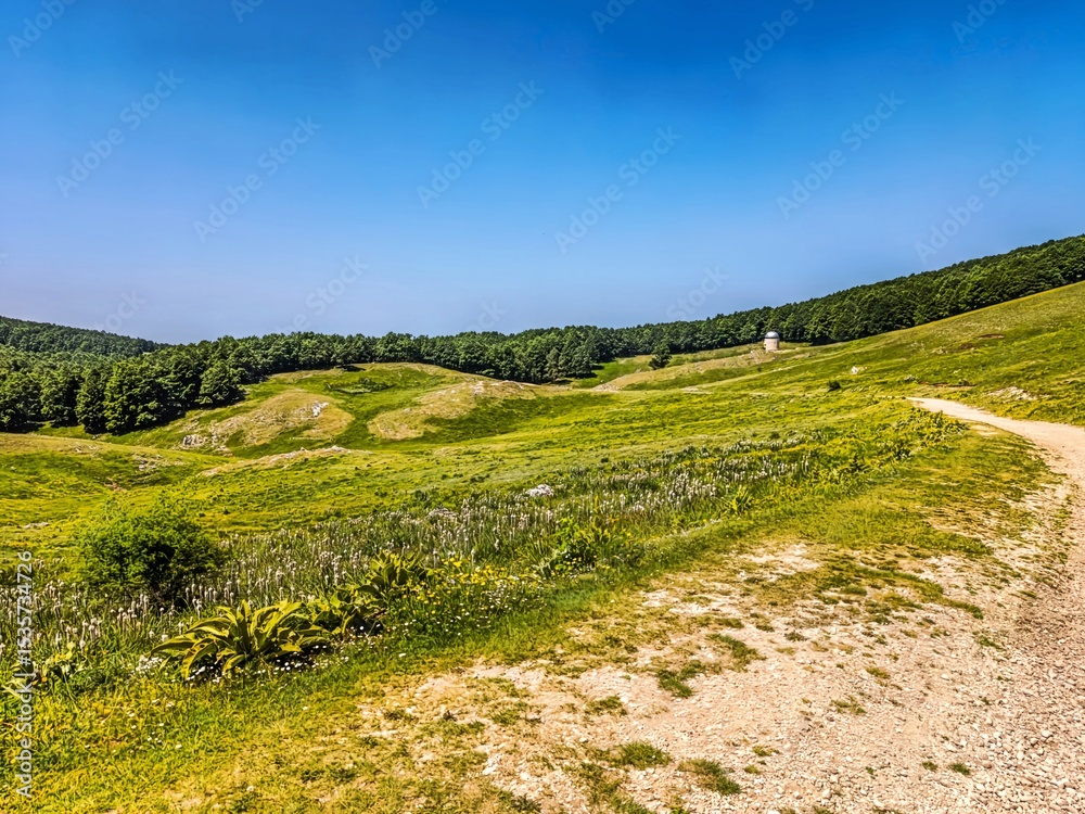 Obraz premium Scatti Vari