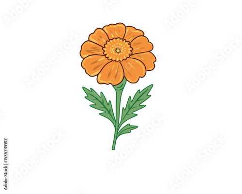 Vector illustration, flat cartoon orange luminous marigold flower isolated on white background
