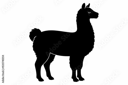 alpaca sihouette black vector