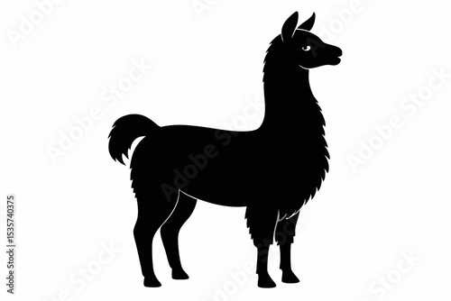 alpaca sihouette black vector