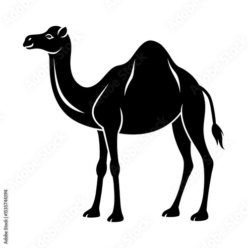 camel silhouette illustration