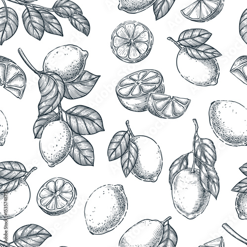 Lemons seamless pattern. Hand drawn sketch vector lime illustration. Food products background