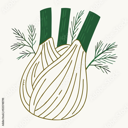 Fresh Fennel Bulb with Dill Illustration