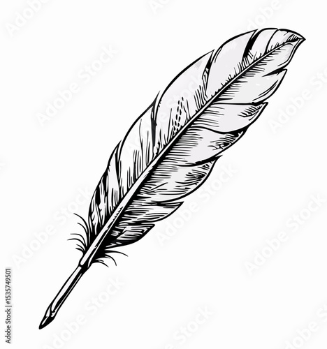 Hand-Drawn Quill Pen Feather Illustration