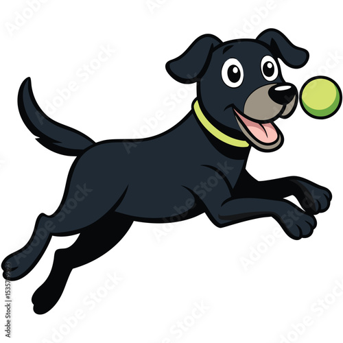 A sleek black Labrador Retriever, mid-pounce, a testament to its playful energy and loyal nature, a beloved family dog.