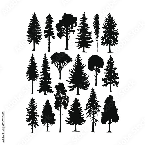 A black silhouette of Pine trees set collections, Vector illustration