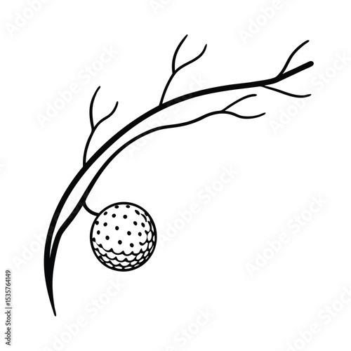 Golf Ball Caught in Tree Branch Moment