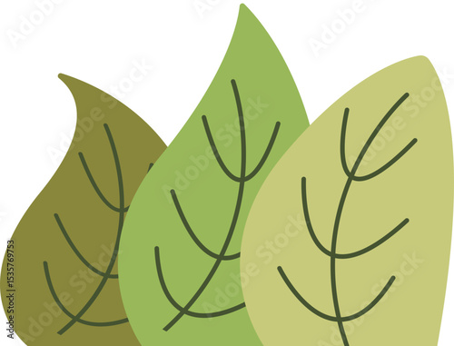 Diverse Green Foliage Elements