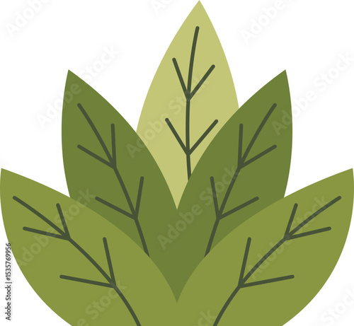 Diverse Green Foliage Elements