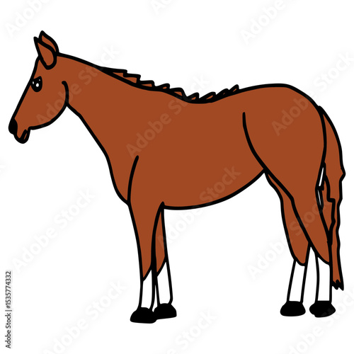 brown horse vector illustration