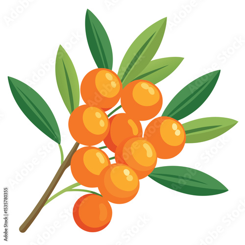 Vibrant Illustration of Sea Buckthorn Berries with Green Leaves on a Brown Branch, Isolated on White Background