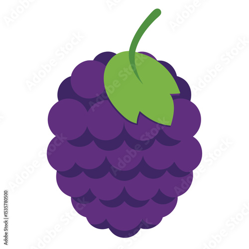 Bright Purple Raspberry with Fresh Green Leaves on a White Background, Vector Illustration