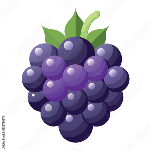 minimalist-vector-art-of-a-blackberry-with-shiny-b.eps
