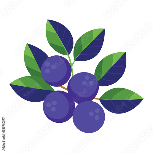 Illustration of fresh purple blueberries on green leaves, vibrant and colorful vector art perfect for healthy eating