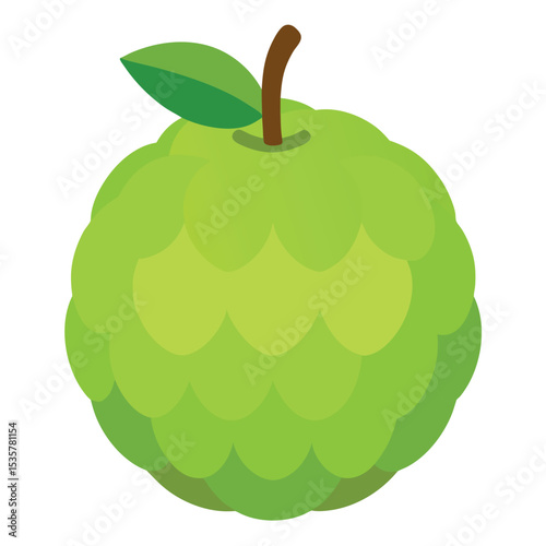 Bright green sugar apple illustration with textured surface and leaf attached, isolated on white background