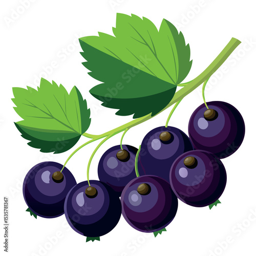 Vibrant illustration of a cluster of ripe blackcurrants with green leaves on a white background, perfect for summer