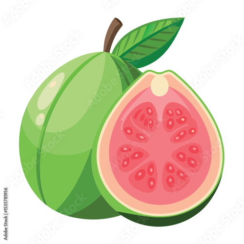 Guava Fruit Illustration