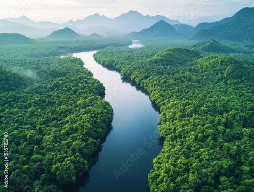 Southeast Asia's green forests surround a river with mountains in the distance. A drone captured this lovely view.
