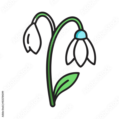 Two elegant snowdrop flowers with green stems and a gentle touch colorful vector icon