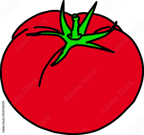 vector illustration of a tomato