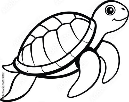 turtle on white background