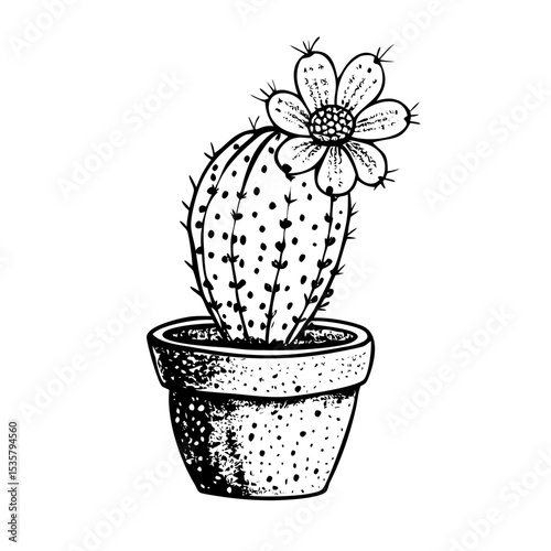 Vintage stipple cactus illustration with flowering succulent style