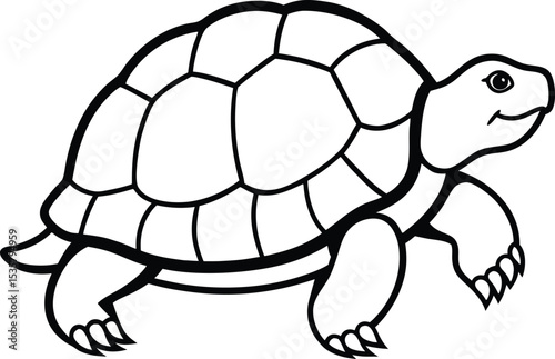 turtle vector illustration 