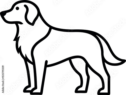 black and white dog