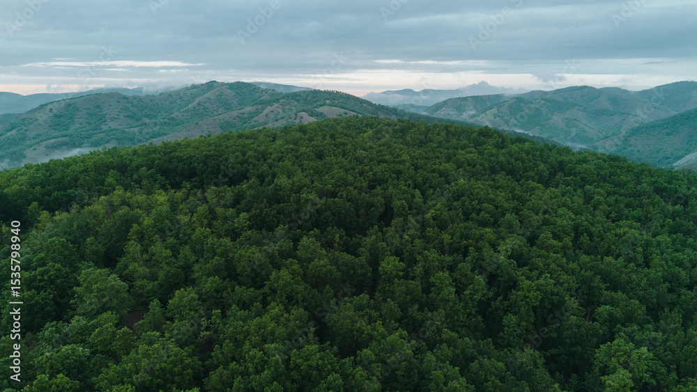 Fototapeta premium Aerial view of a dense green forest covering rolling hills in Serbia at sunsert. Mist lingers among the mountains under a cloudy sky during evening light