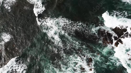 The Ocean
