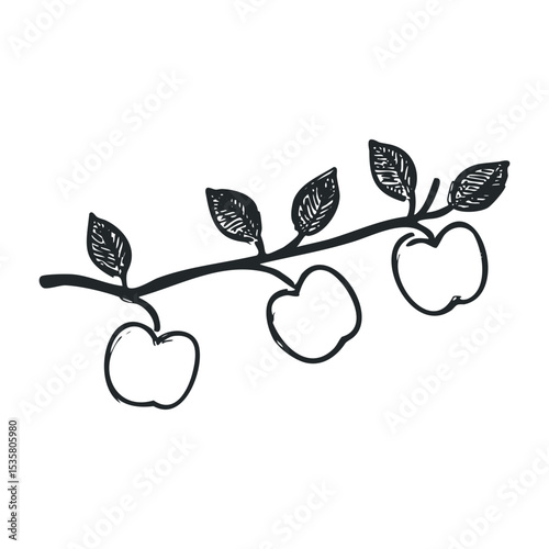 Hand-drawn apple branch with leaves illustration – stock vector icon in line drawing style