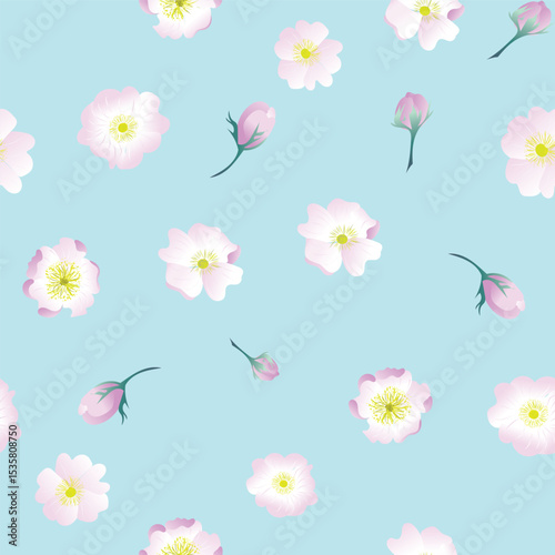 Woodbine and sweetbriar rose scatter stock