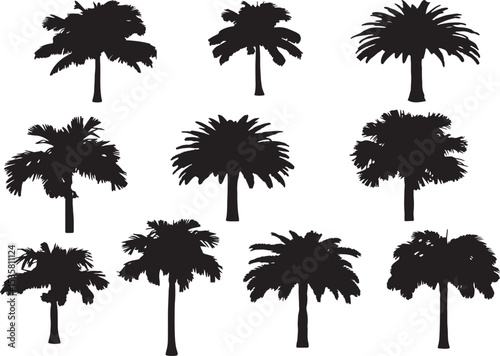 Tall trees landscape design featuring green and brown hues