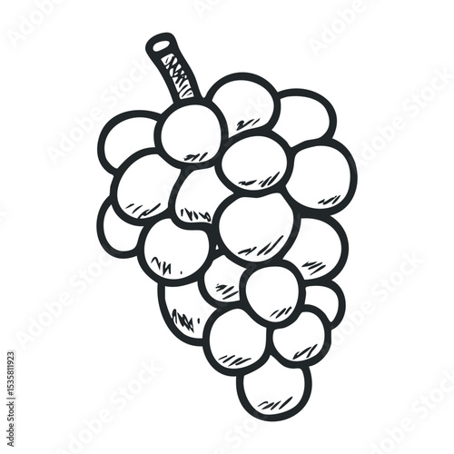 Sketch of a grape bunch with hand-drawn style details – stock vector icon in line drawing style