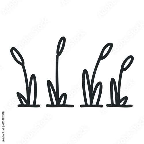 Simple line drawing of grass blades with tall stems – stock vector icon in line drawing style