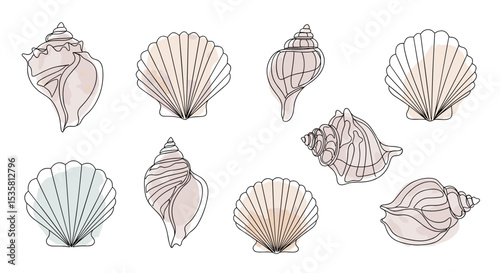 seashell collection one line doodle drawing with watercolor fill, minimalistic vector illustration on white background