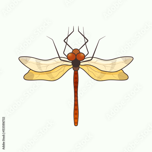 Detailed Dragonfly Insect Hand-Drawn Illustration